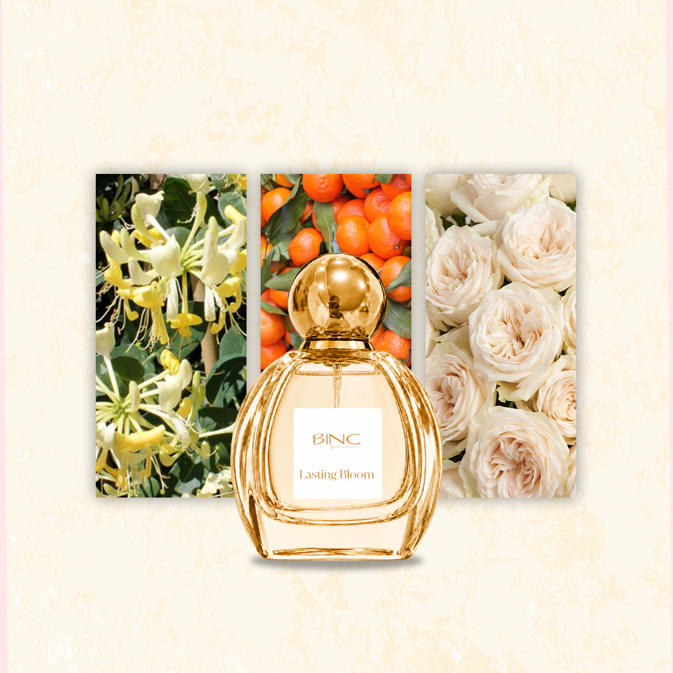 Lasting Bloom
